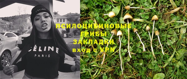 спиды Верея