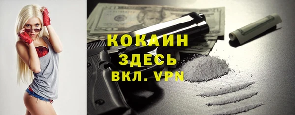 спиды Верея