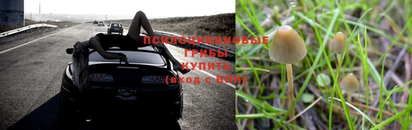 спиды Верея