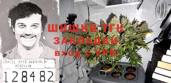 спиды Верея