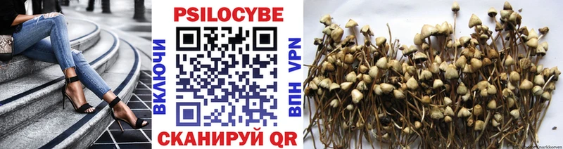 Галлюциногенные грибы MAGIC MUSHROOMS  Шатура 